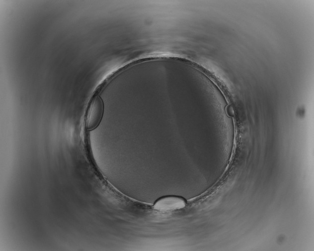 X0000102341173200808151721