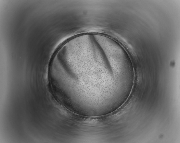 X0000102341174200808151721