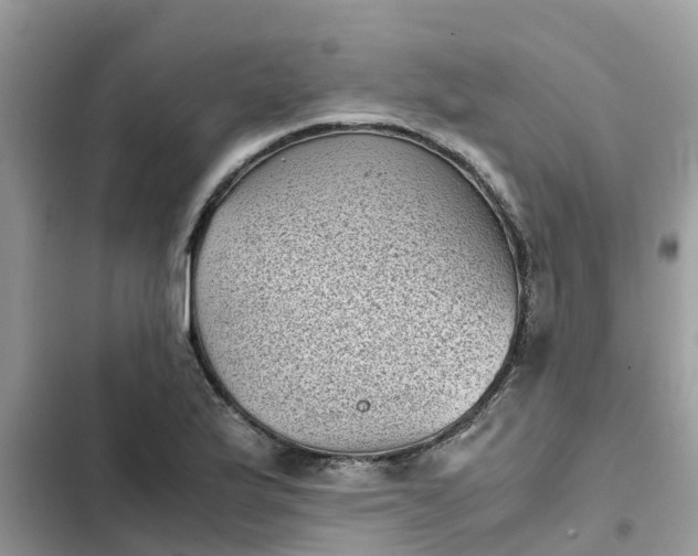 X0000102341175200808151721