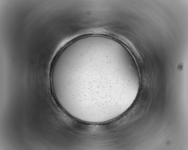 X0000102341176200808151721