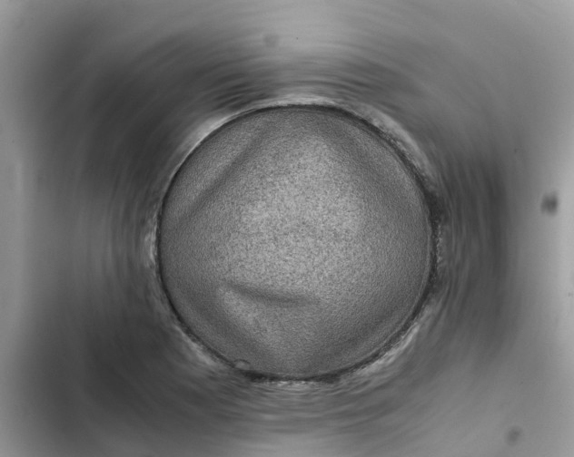 X0000102341177200808151721