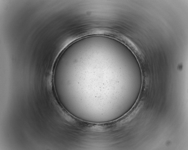 X0000102341178200808151721