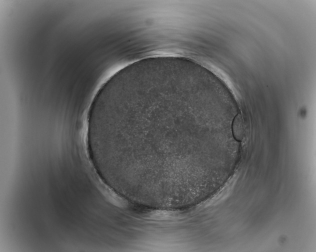 X0000102341179200808151721