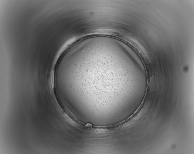 X0000102341180200808151721