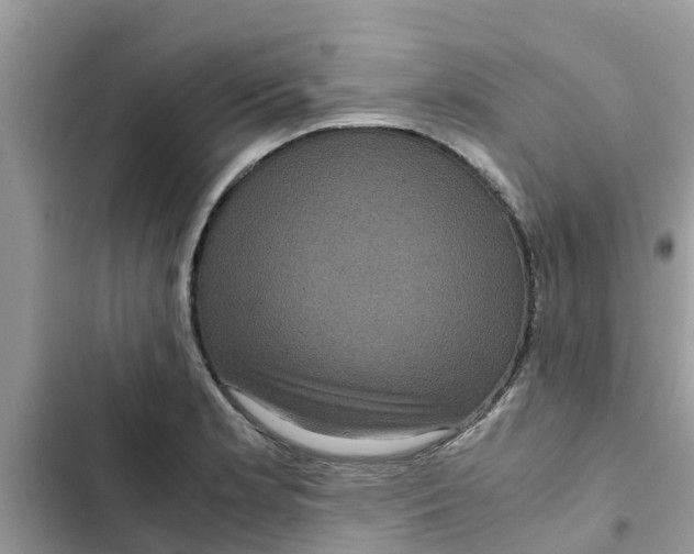 X0000102341181200808151721