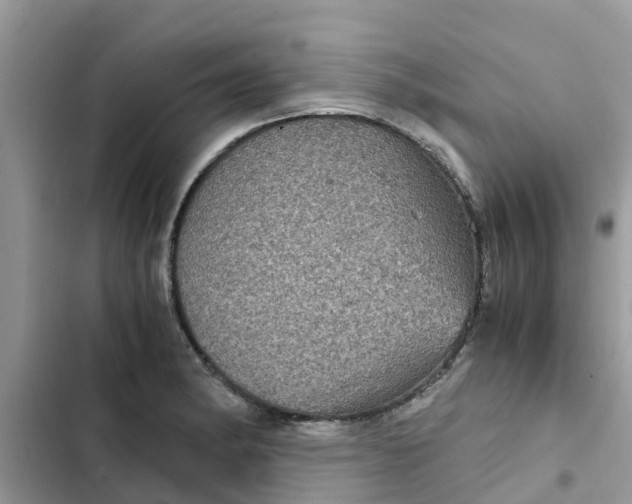 X0000102341182200808151721