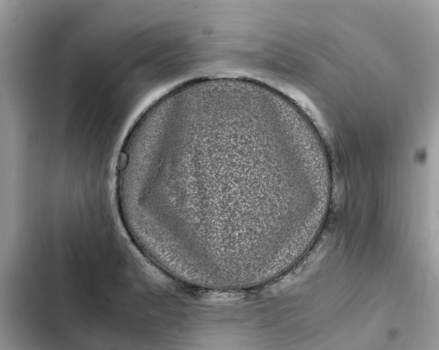 X0000102341183200808151721