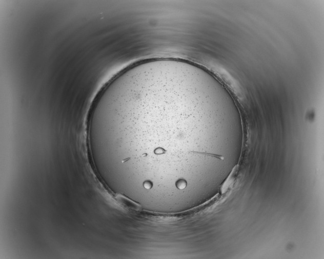 X0000102341184200808151721