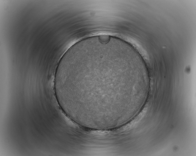 X0000102341185200808151721