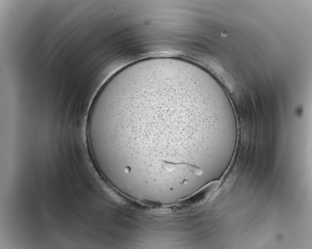 X0000102341186200808151721