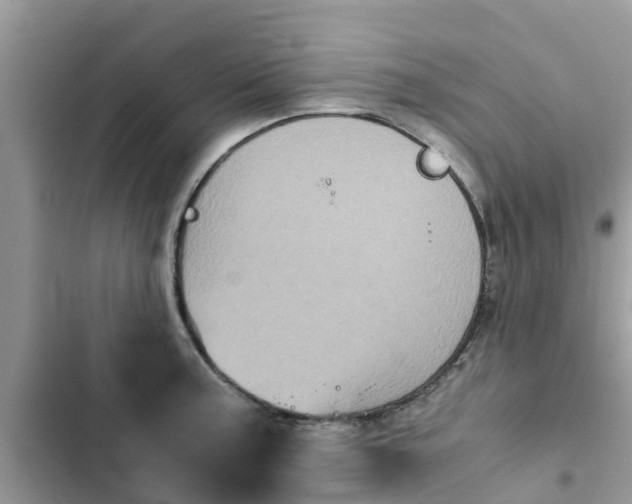 X0000102341187200808151721