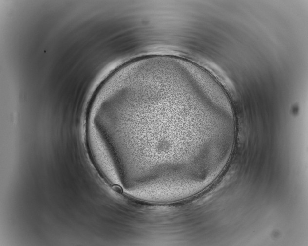 X0000102341188200808151721