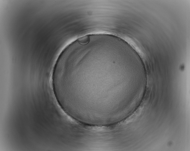 X0000102341189200808151721