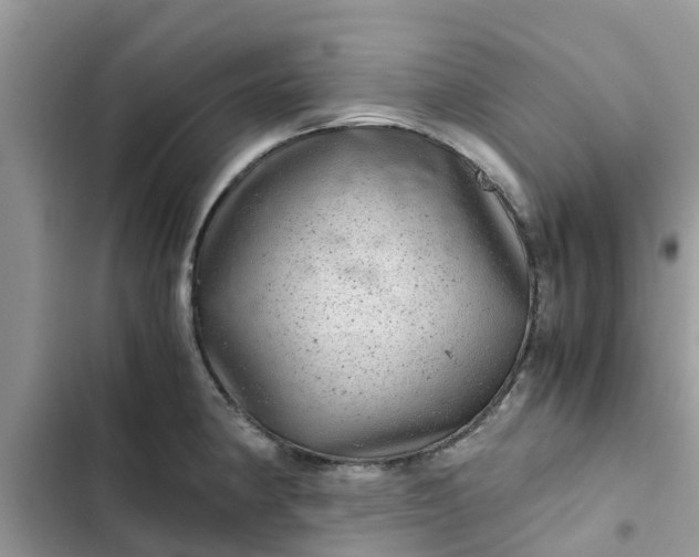 X0000102341190200808151721