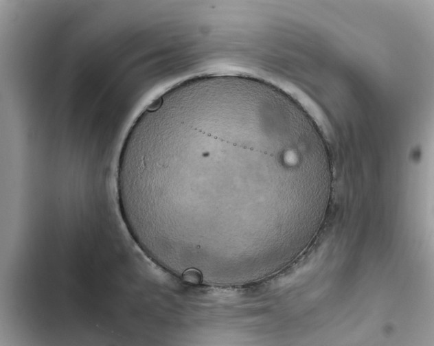 X0000102341191200808151721