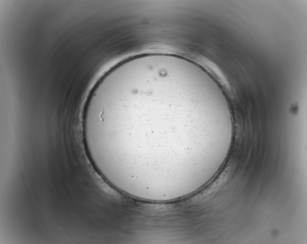 X0000102341192200808151721