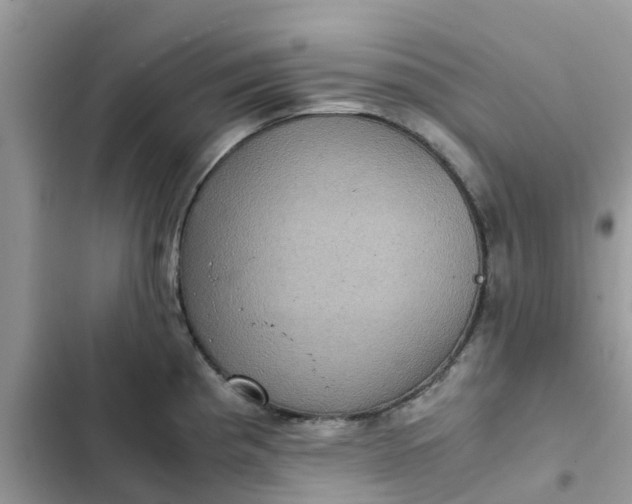 X0000102341193200808151721