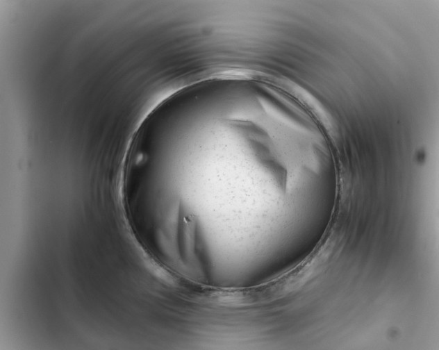 X0000102341194200808151721