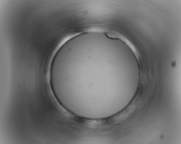 X0000102341195200808151721