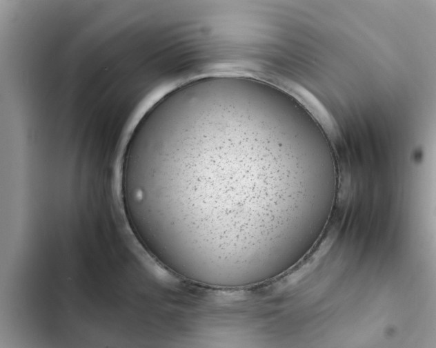 X0000102341196200808151721