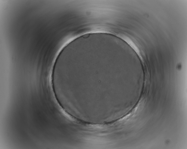 X0000102341197200808151721