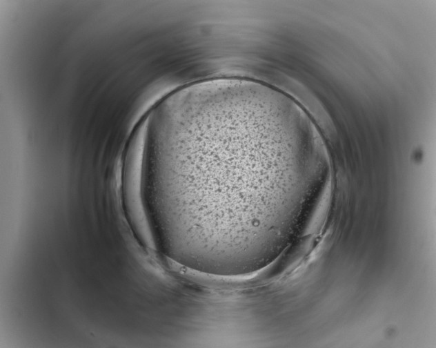 X0000102341198200808151721