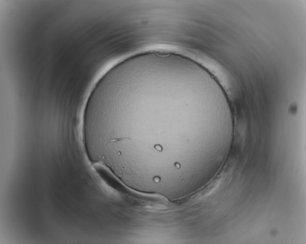 X0000102341199200808151721