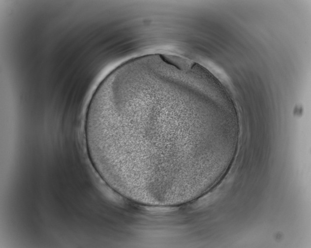 X0000102341200200808151721