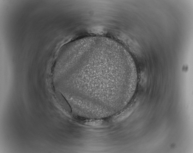 X0000102341201200808151720