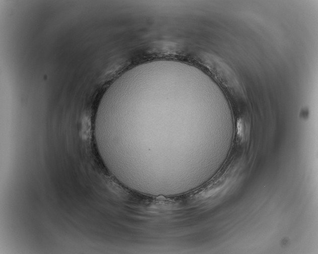 X0000102341203200808151720