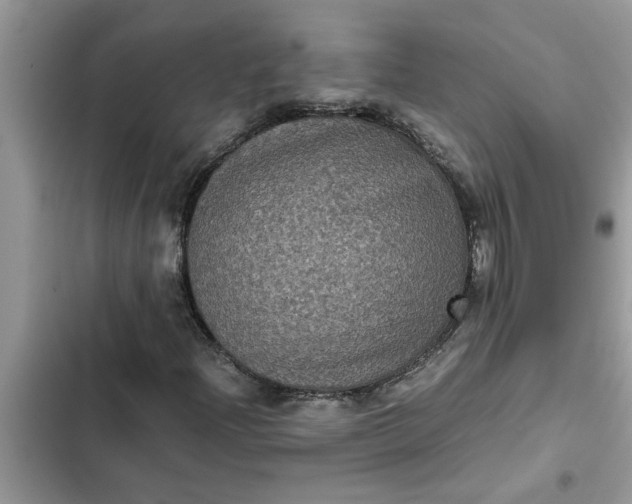 X0000102341204200808151720