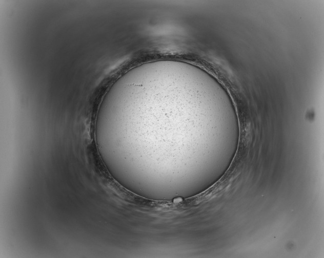 X0000102341205200808151720