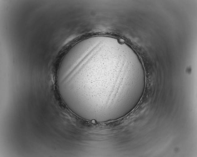 X0000102341206200808151720