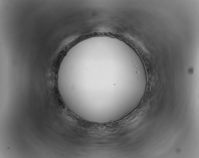 X0000102341207200808151720