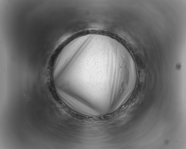 X0000102341208200808151720