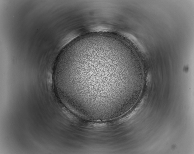 X0000102341209200808151720