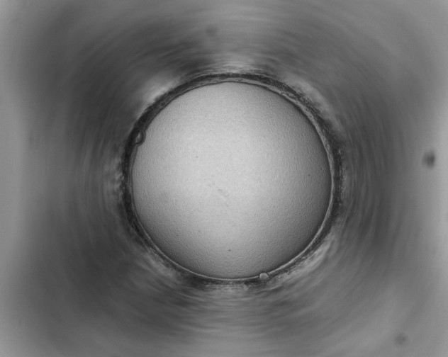 X0000102341210200808151720