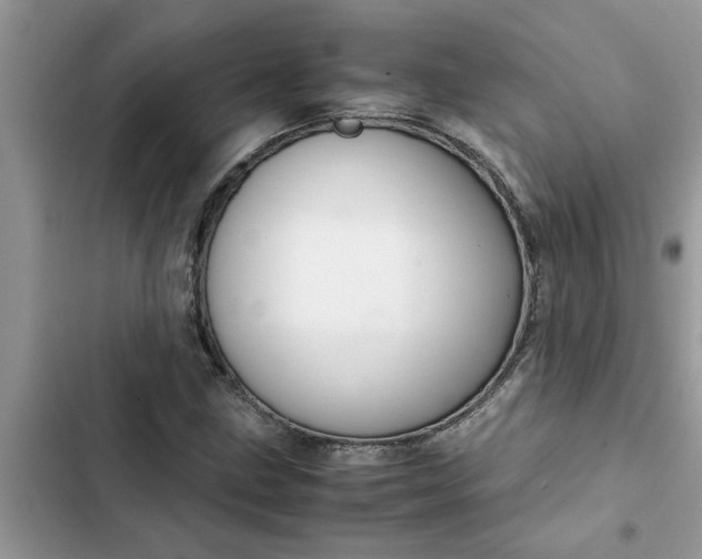 X0000102341211200808151720