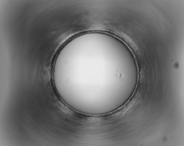 X0000102341212200808151720