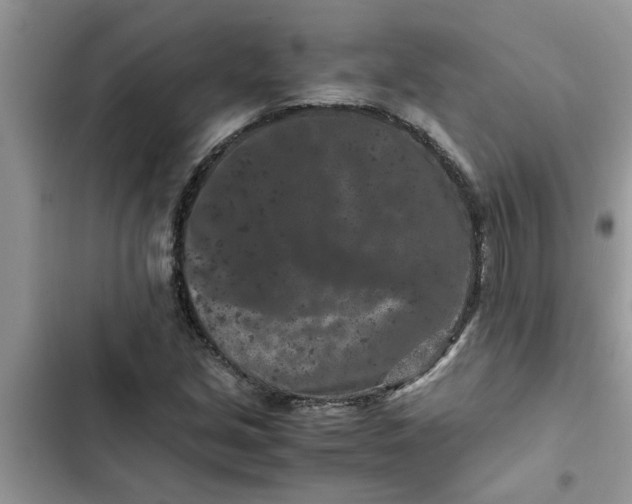 X0000102341213200808151720