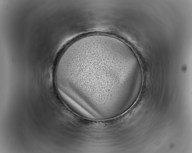 X0000102341214200808151720