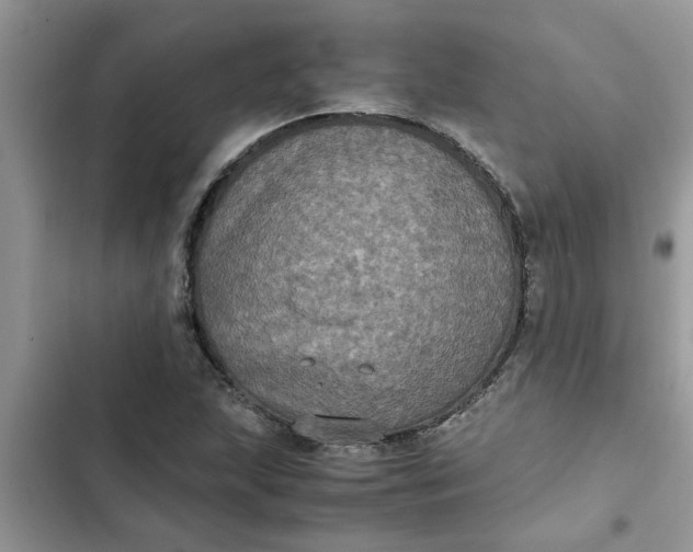 X0000102341215200808151720