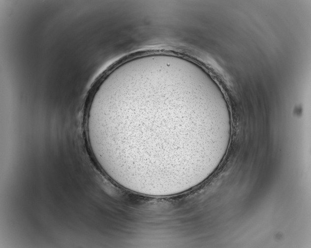 X0000102341216200808151720