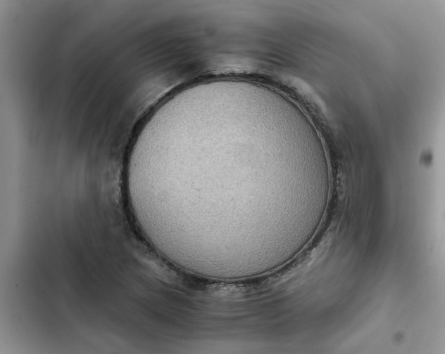 X0000102341217200808151720