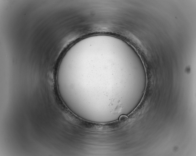 X0000102341218200808151720