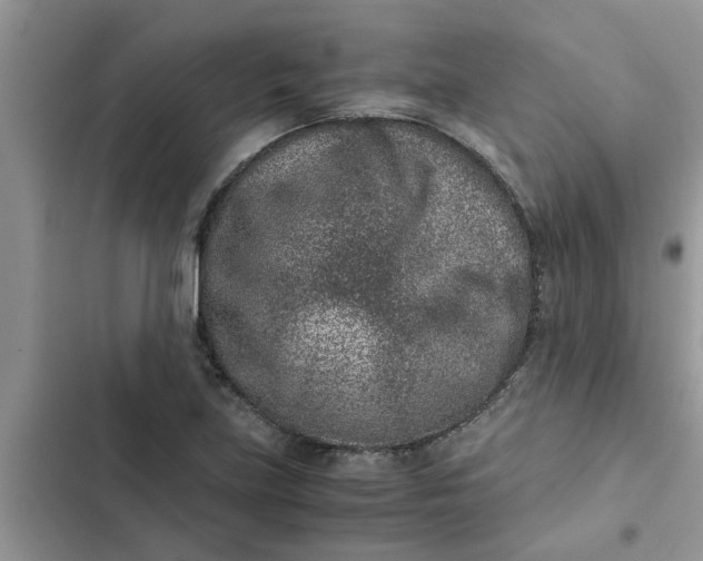 X0000102341219200808151720