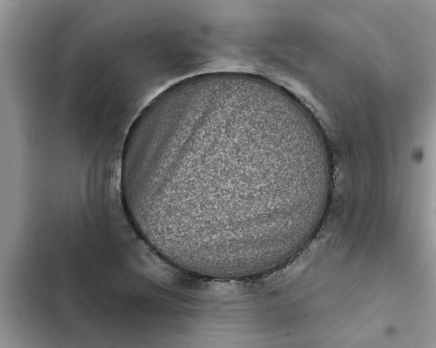 X0000102341220200808151720