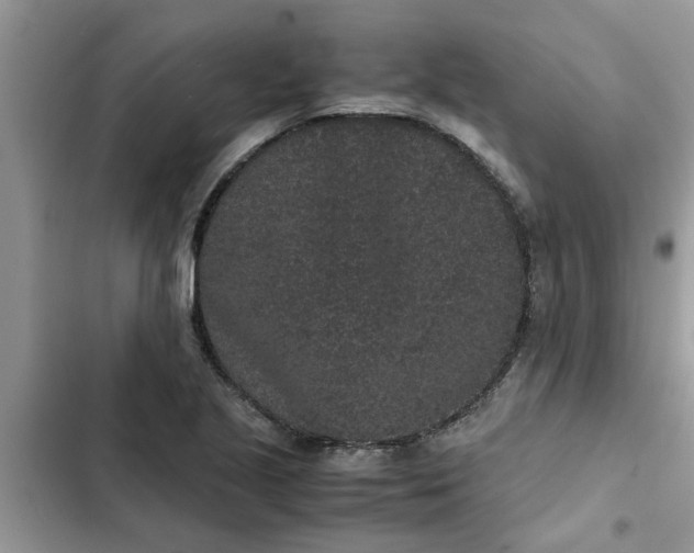 X0000102341221200808151720