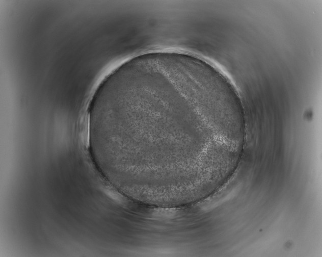 X0000102341223200808151720