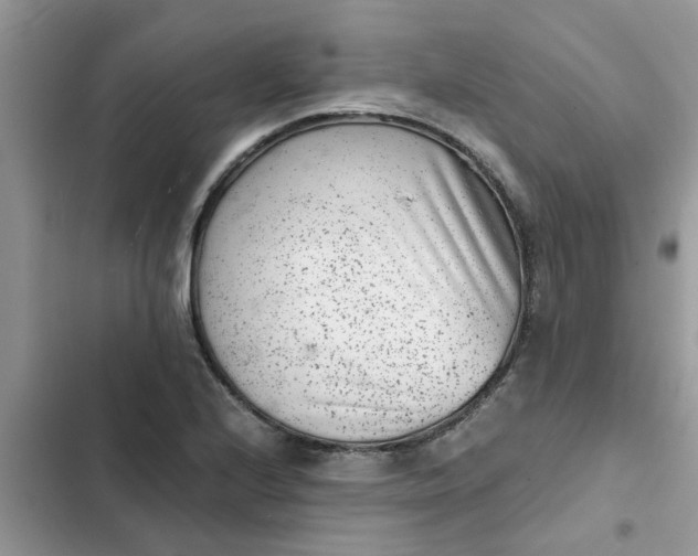 X0000102341224200808151720